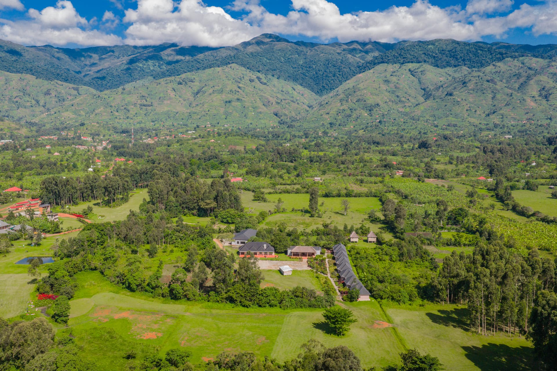 Mt. Rwenzori aerial view
