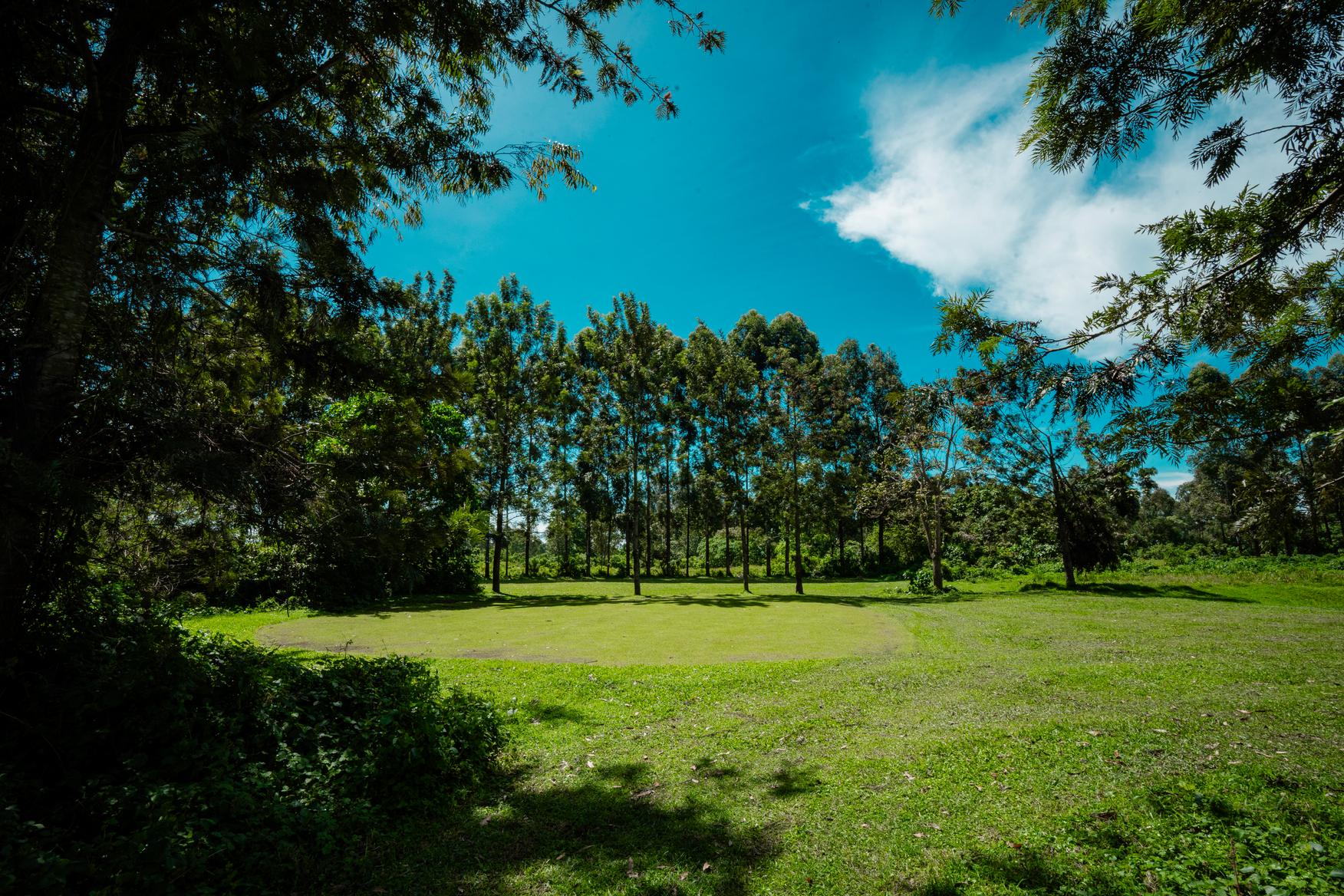 9-Hole Golf Course